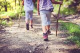 Kinder wandern im Wald / nur Beine