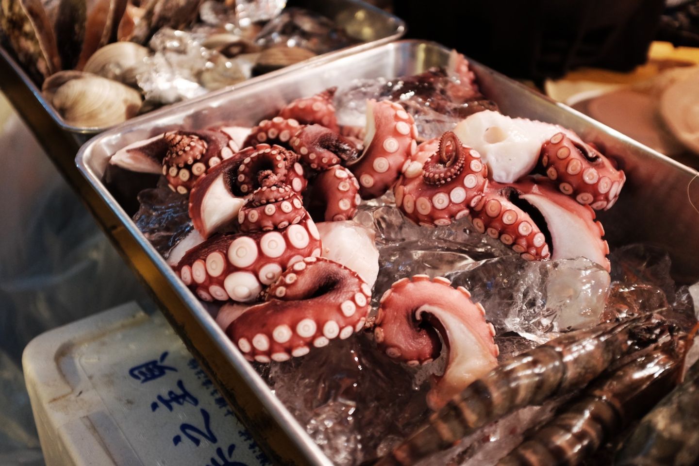 In Japan lässt man jetzt toten Oktopus tanzen!