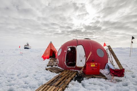 Mit zwei Kindern auf Arktis-Expedition – Mutig oder verrückt?