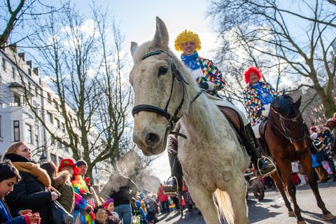 Nach Unfall in Köln: Sollten Pferde im Karneval verboten werden?