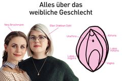 Diese beiden Ärztinnen behaupten: "Auch Frauen haben eine Morgenlatte" 😉 Diese beiden Ärztinnen behaupten: "Auch Frauen haben eine Morgenlatte" 😉