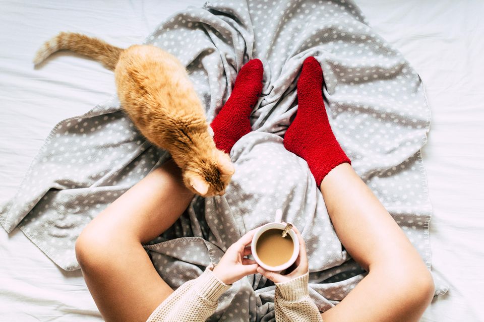 Eine Frau sitzt mit einer Kaffeetasse zwischen den Beinen auf dem Bett mit ihrer Katze