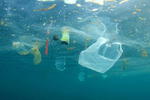Plastikmüll treibt im Ozean
