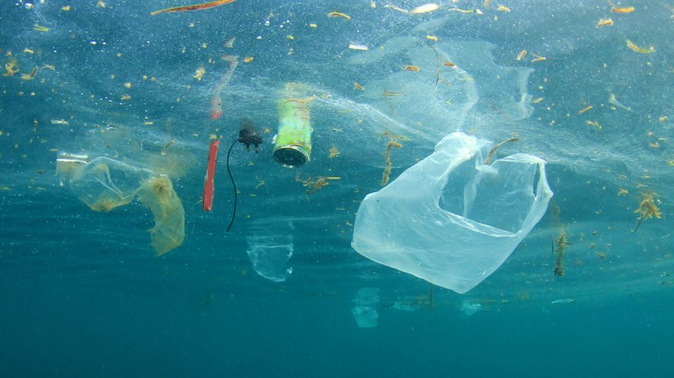 Plastikmüll im Meer: Diese Aktion hilft