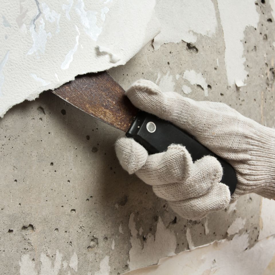 Tapeten entfernen: Tapete von Wand mit Spachtel entfernen