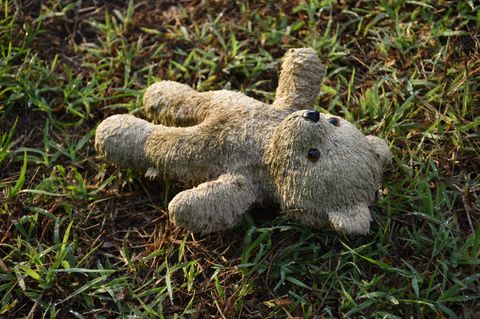Ein verlorener Teddybär auf einer Wiese