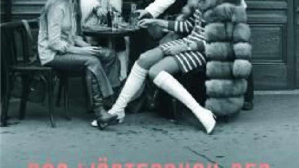 Nina Merian: "Das Wörterbuch der bösen Mädchen"