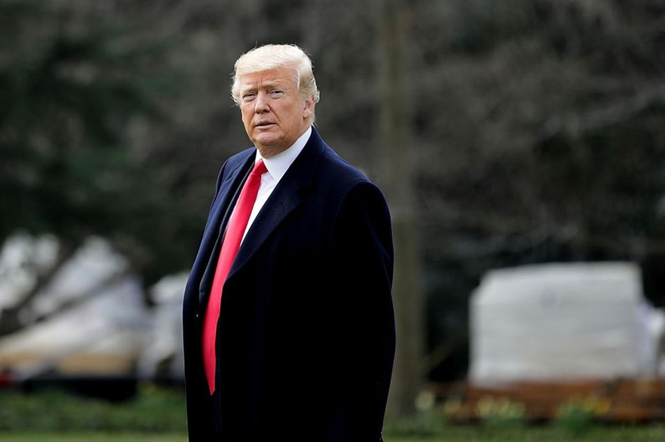 Diese Frau sieht aus wie Donald Trump Diese Frau sieht aus wie Donald Trump