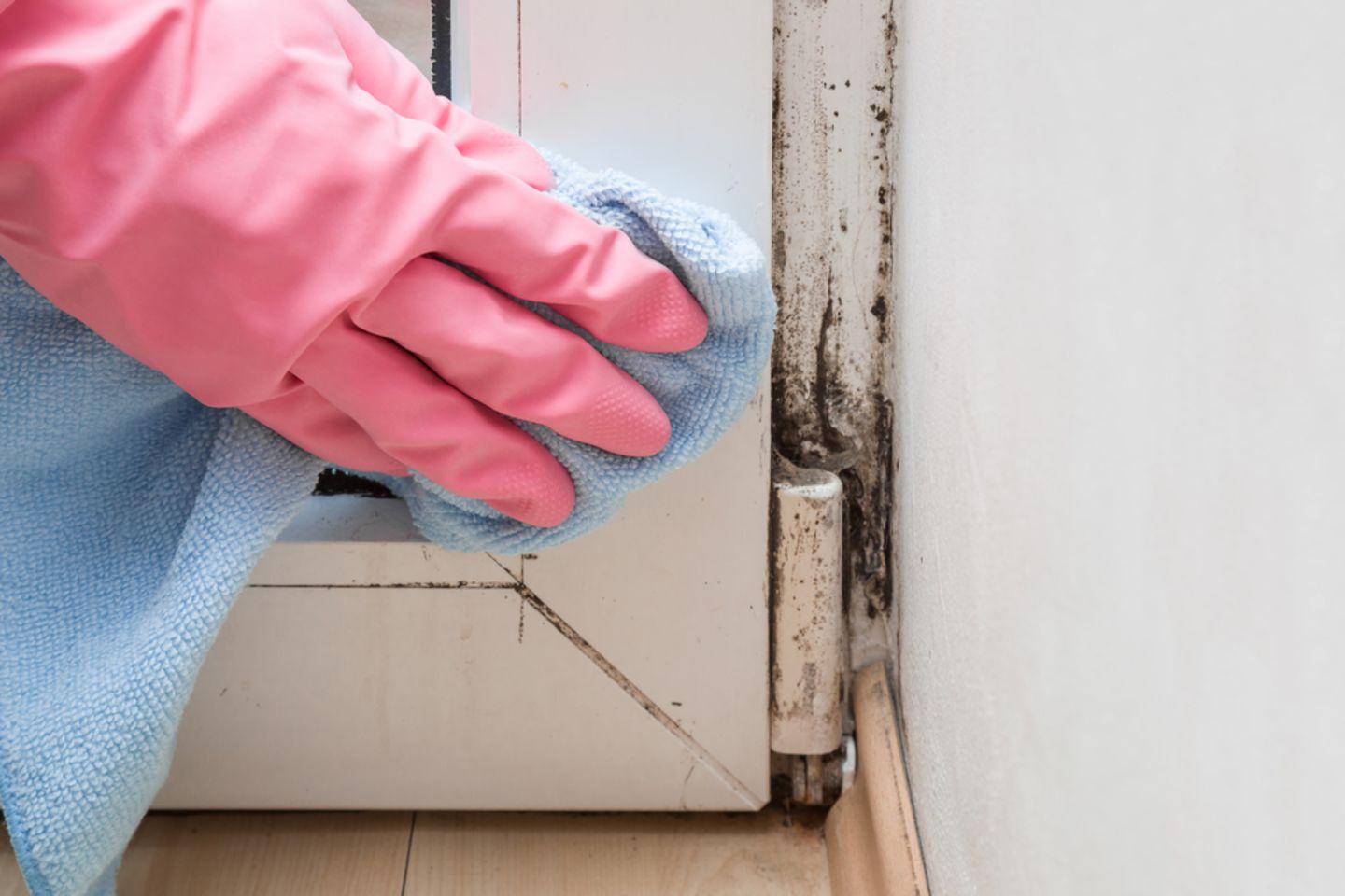 Schimmel in der Wohnung: Schimmel am Fensterbrett