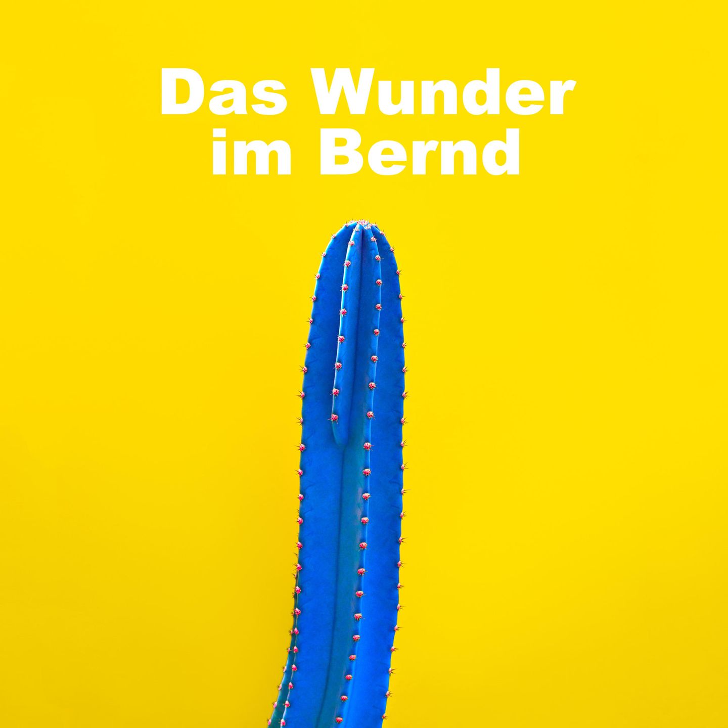 Lustige Pornotitel: Kaktus mit Pornotitel "Das Wunder im Bernd"