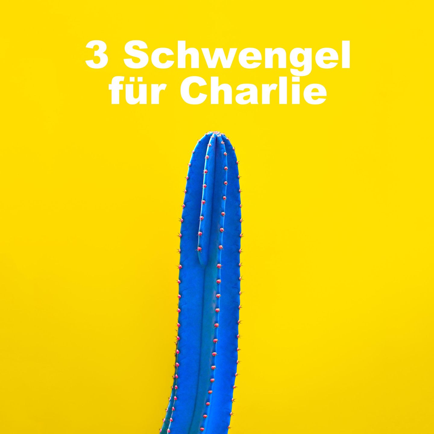 Lustige Pornotitel: Kaktus mit Pornotitel "3 Schwengel für Charlie"