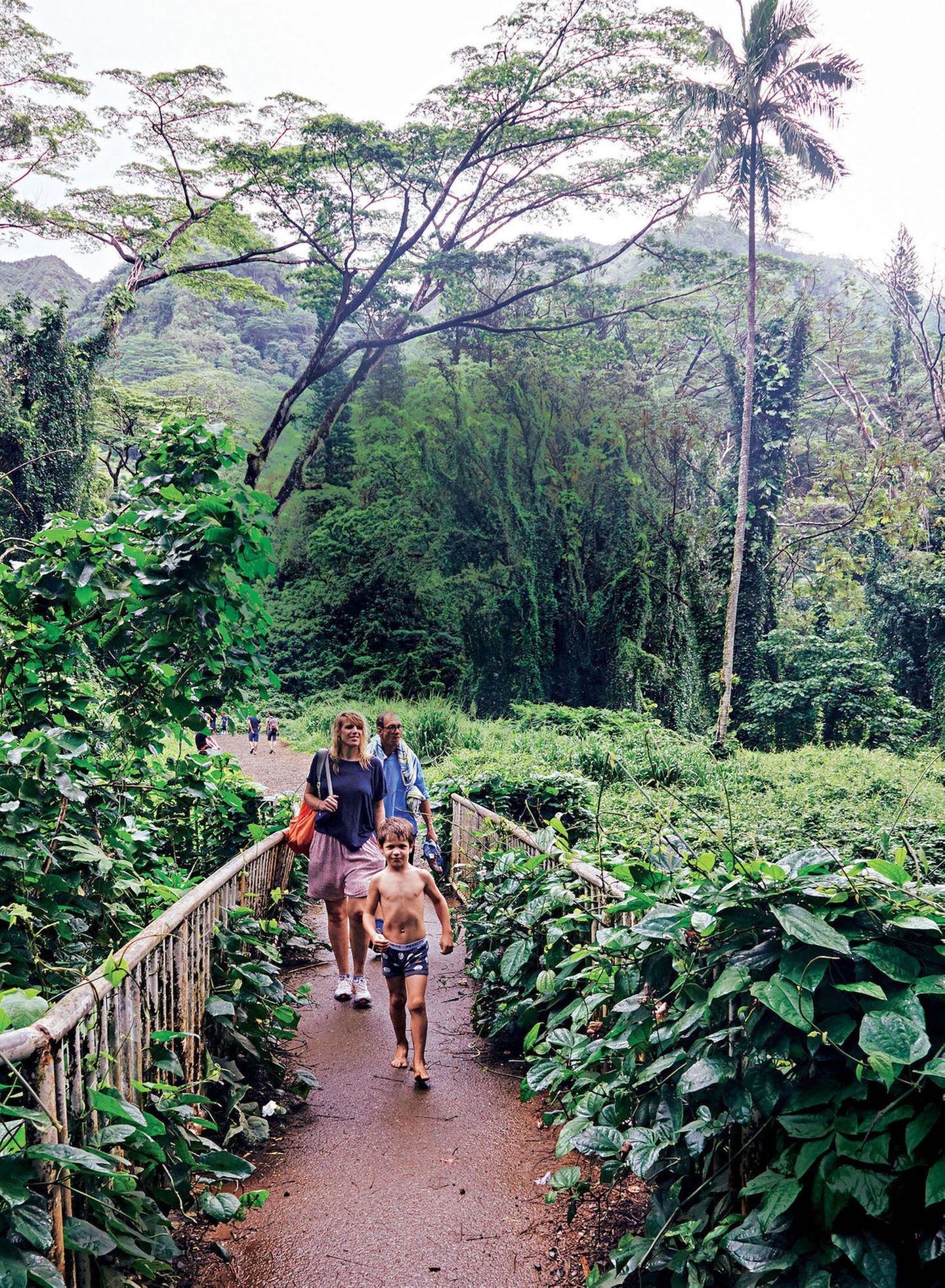 Hawaii Reisetipps: BRIGITTE-Autorin mit ihrer Familie unterwegs im Duschungel