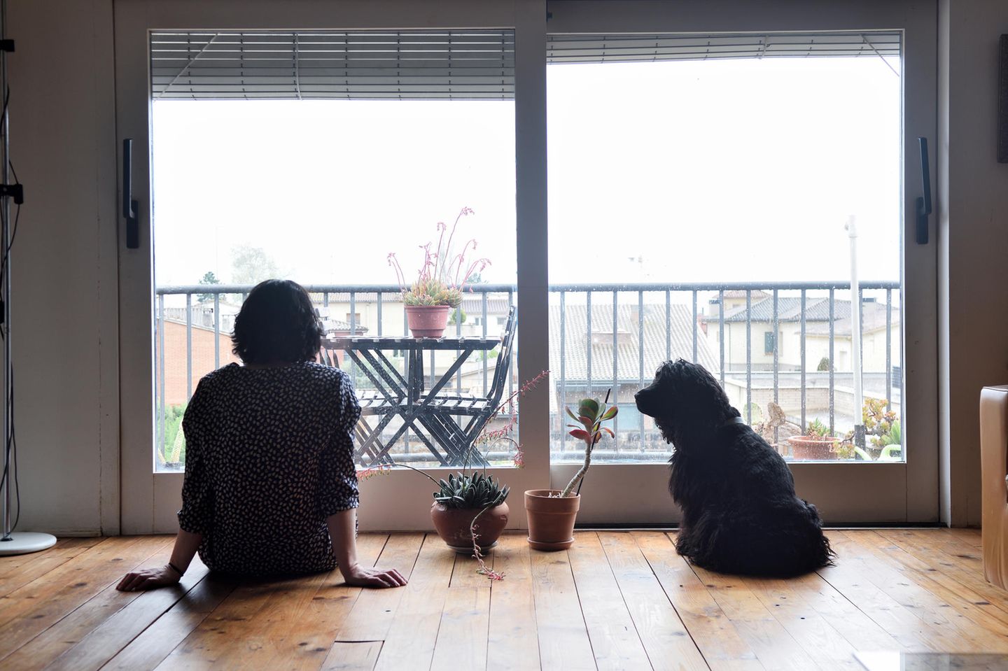 Trennungsphasen: Eine Frau sitzt allein mit ihrem Hunde und zwei Zimmerpflanzen in der Wohnung und schaut nach draußen
