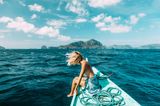 Sea Beauty: Schönheit aus dem Meer
