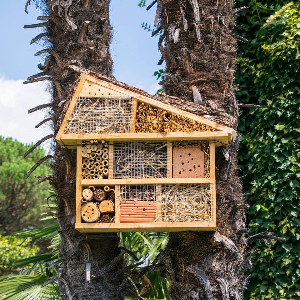 Insektenhotel selber bauen: Fertiges Hotel für Bienen und Co