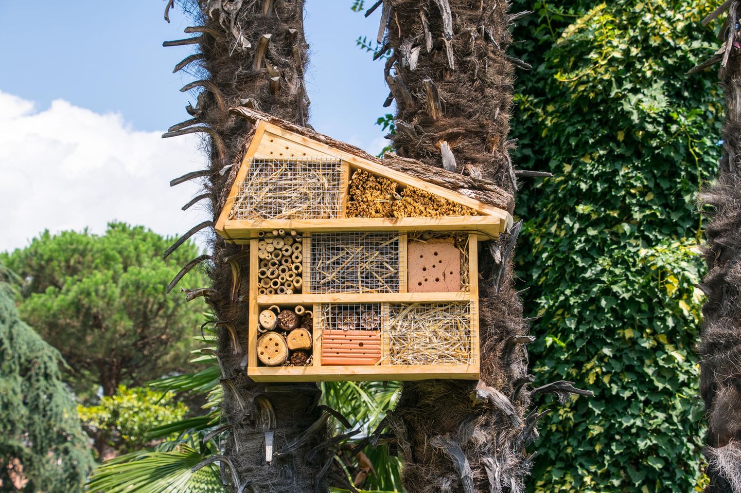 Insektenhotel selber bauen: Fertiges Hotel für Bienen und Co