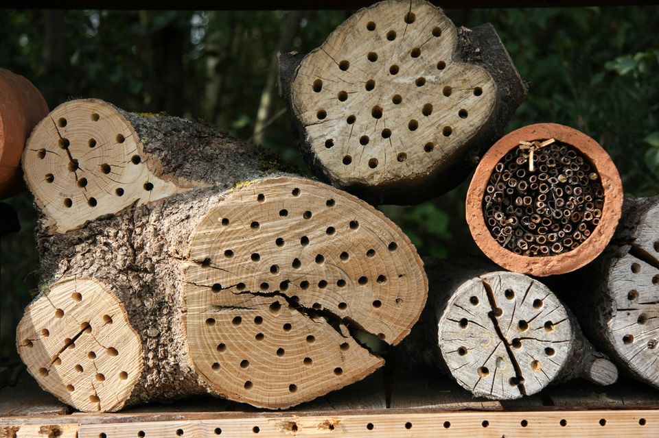 Einfaches Insektenhotel aus angebohrten Baumstämmen