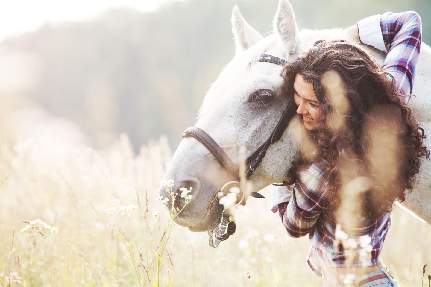 Pferdemädchen: Warum ich mit fast 40 auf einmal reiten möchte