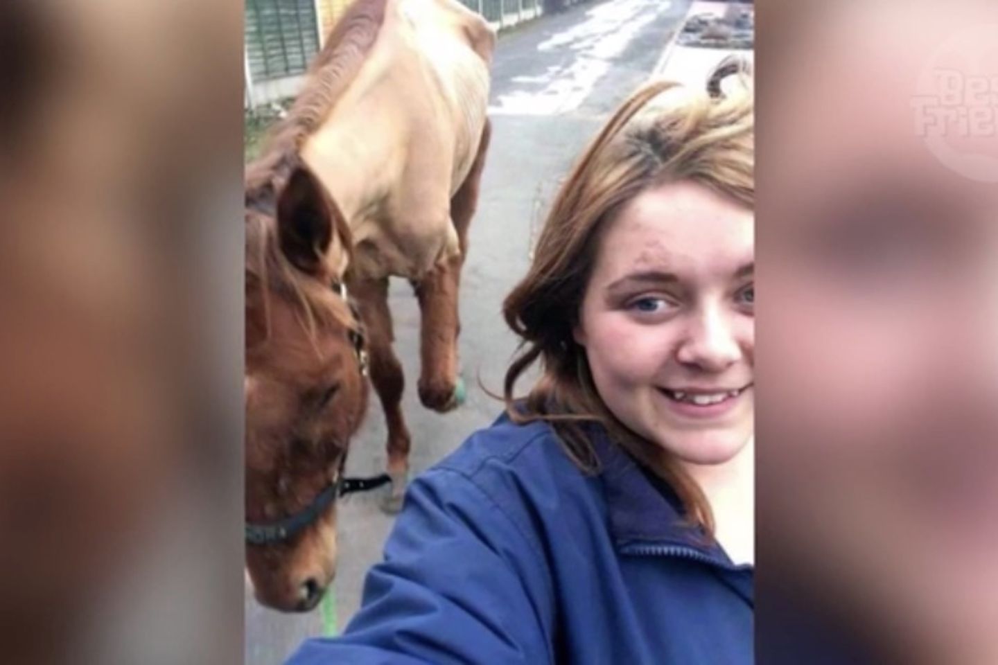 Skandal Selfie Bei Diesem Pferde Foto Kannte Das Gericht Keine Gnade Brigitte De