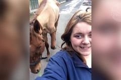 Horse selfie leads to conviction "loading =" lazy