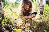 Herbst-Ideen: kleines Mädchen sammelt Pilze