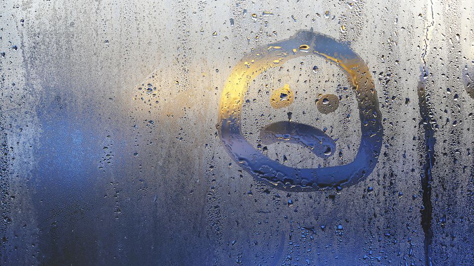 Kondenswasser am Fenster: So lässt es sich vermeiden Kondenswasser am Fenster: Frau wischt Fenster