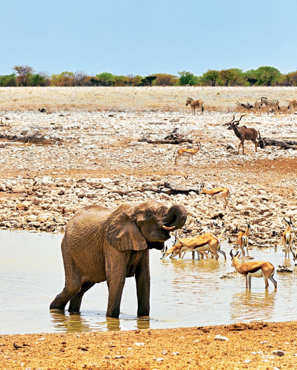 Namibia Reisetipps Ab Durch Die Wuste Brigitte De