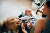 Gesundheitsmythen: Entwickeln sich Kinder mit Haustieren gesünder?