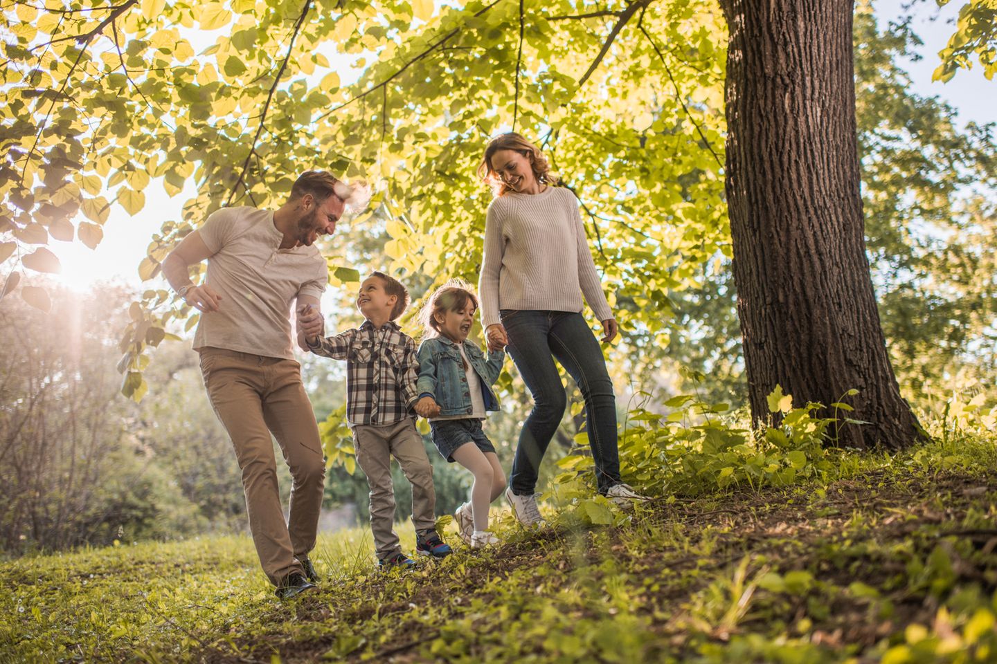 So solltet ihr wohnen, damit eure Kinder klug werden: Familie im Wald