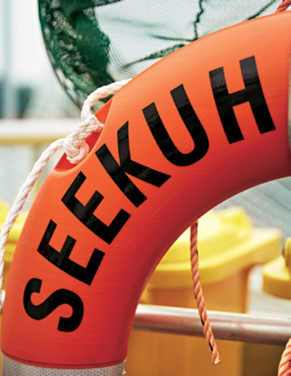Plastikmüll: Rettungsreifen mit Schriftzug "Seekuh"