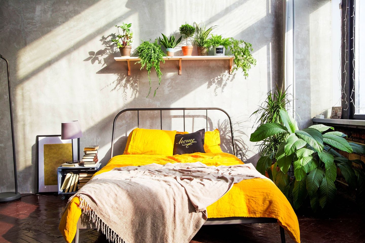 Pflanzen im Schlafzimmer: Pflanzen über dem Bett