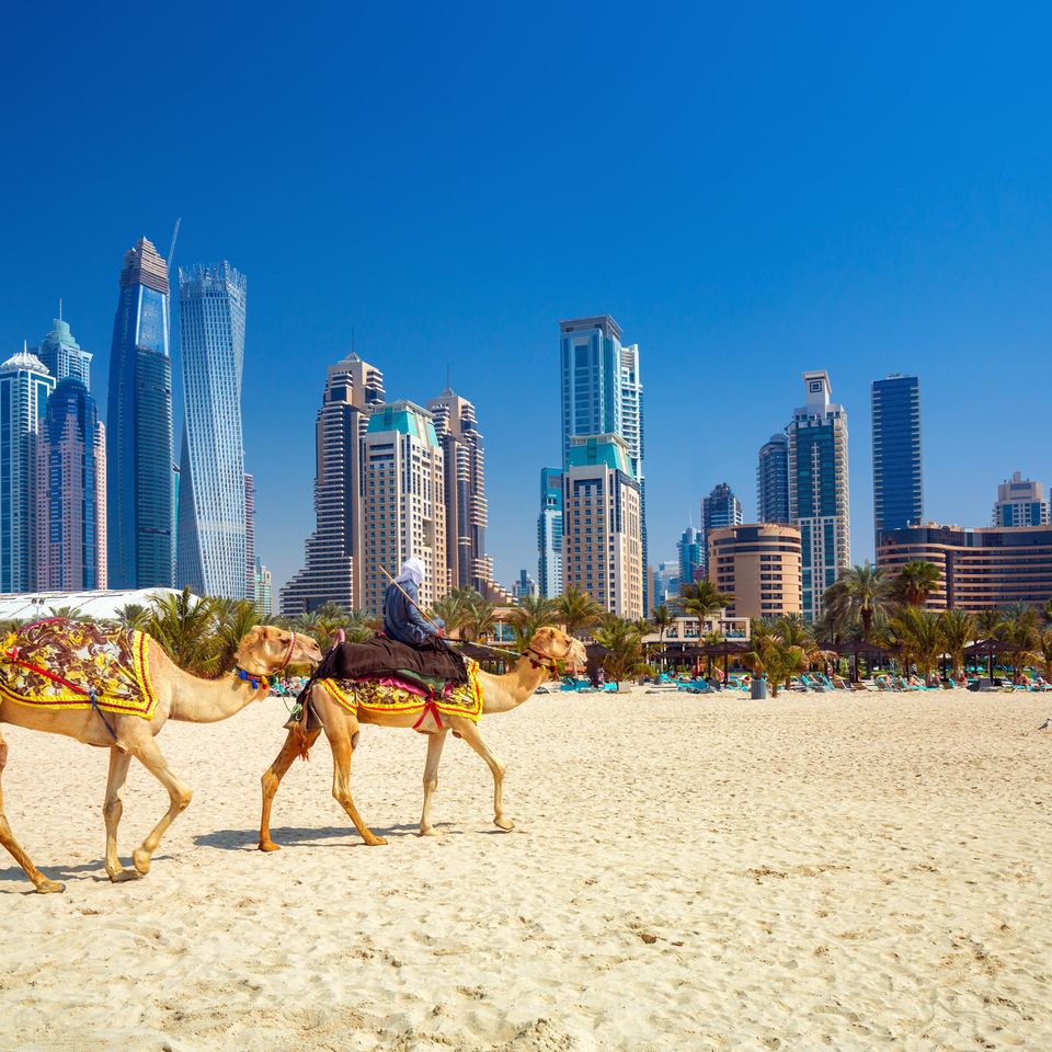 Wo ist es im Winter warm? Skyline Dubai