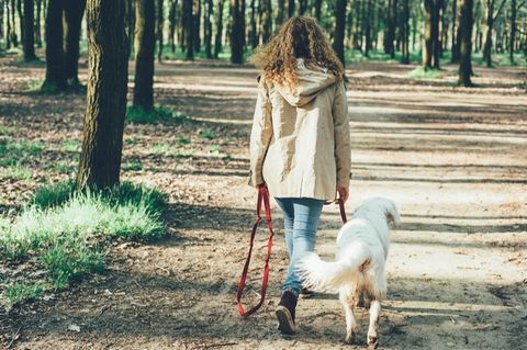 Gesund durchs Gehen: Frau geht mit Hund spazieren