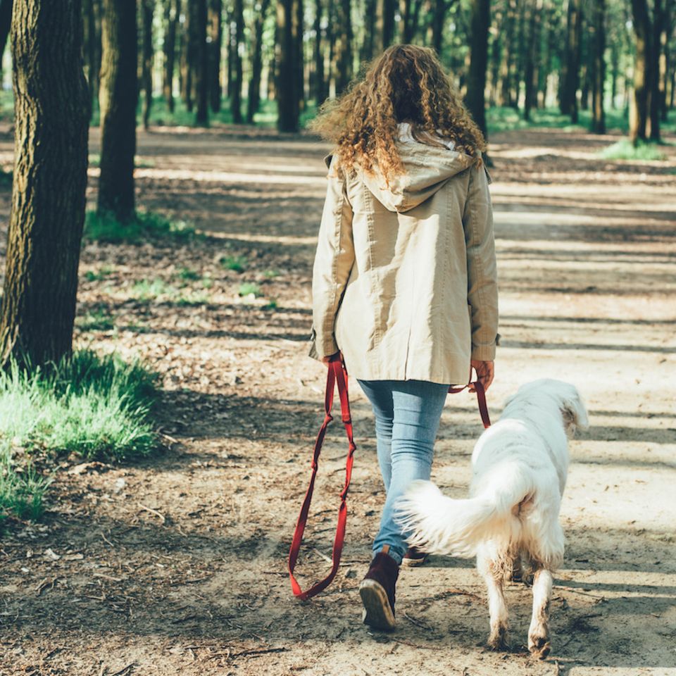 Gesund durchs Gehen: Frau geht mit Hund spazieren