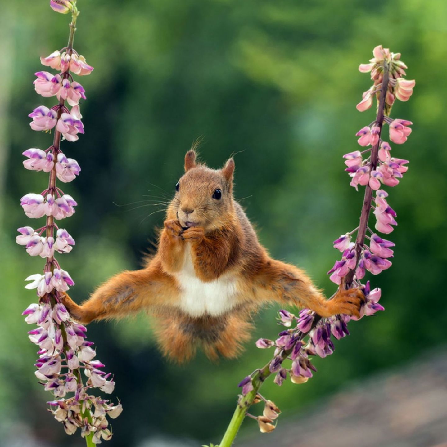 Die lustigsten Tierfotos 2018 | BRIGITTE.de