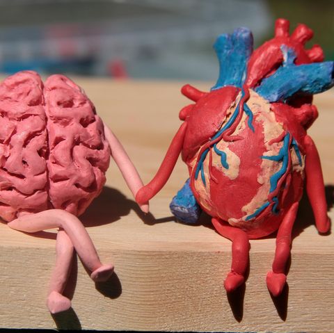 Was ist Sapiosexualität?: Gehirn und Herz halten Händchen