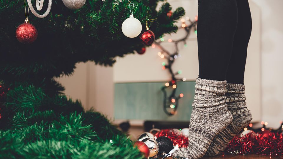 So bleibt dein Tannenbaum lange grün So bleibt dein Tannenbaum lange grün