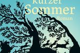 Literaturempfehlung: Fräulein Nettes kurzer Sommer
