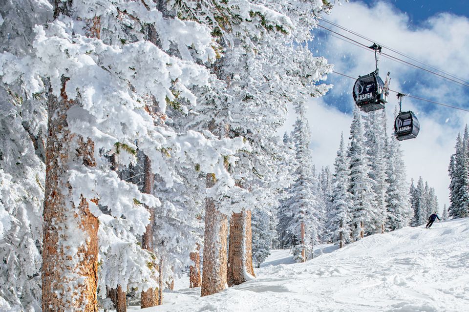 Skifahren Aspen: Skilift fährt durch zugeschneite Tannen