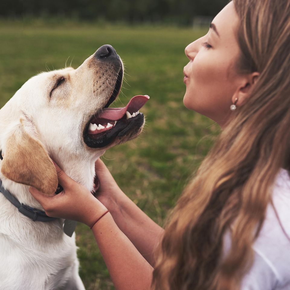 Hunde lieben Babysprache beweist eine Studie: Frau spricht knuddelnd mit Hund