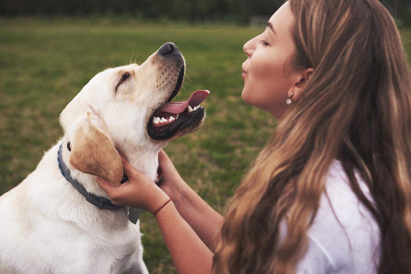 Hunde lieben Babysprache beweist eine Studie: Frau spricht knuddelnd mit Hund