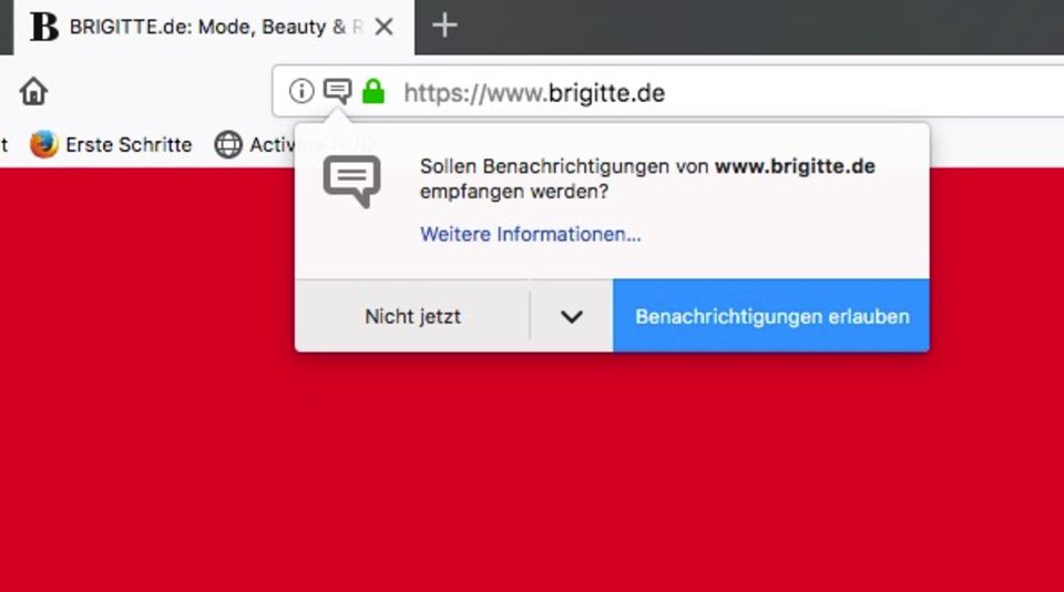 Webpush Scvreenshot BRIGITTE.de