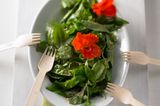 Basilikum-Brunnenkresse-Salat