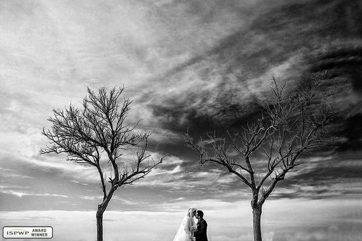 Hochzeitsfotos 2019: Die schönsten Bilder: Brautpaar küsst sich zwischen zwei Bäumen