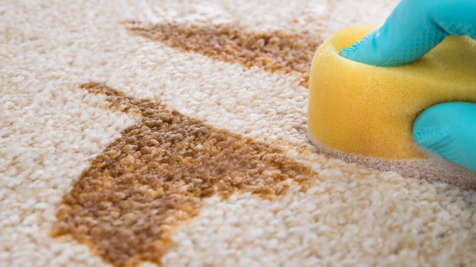 Wasserstoffperoxid: Dafür ist es gut im Haushalt