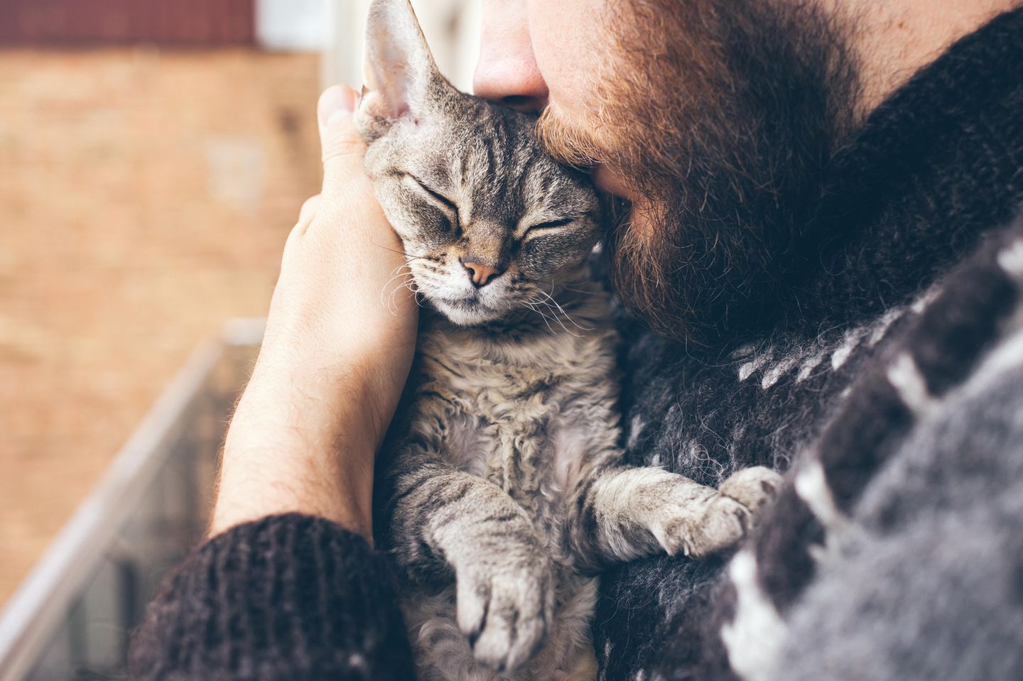 Katze wählt Notruf: Katze auf dem Arm eines Mannes