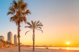 Barcelona-Sehenswürdigkeiten: Der Strand
