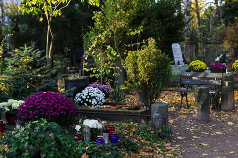 Grabbepflanzung: Bepflanztes Grab auf Friedhof
