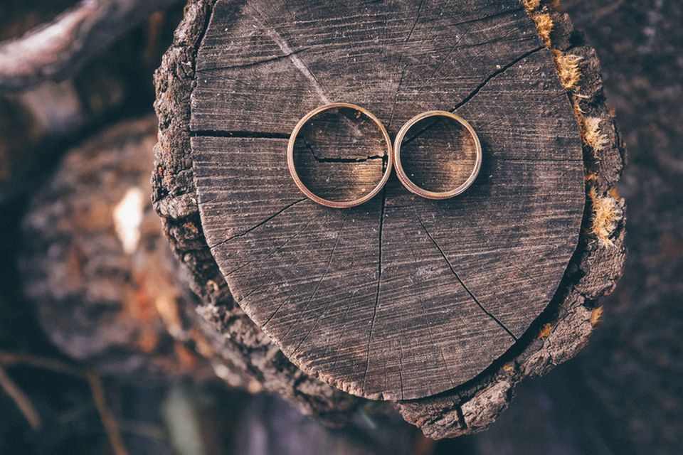Silberhochzeit – Ideen, Glückwünsche und Bräuche: Zwei Eheringe auf einem Baumstumpf