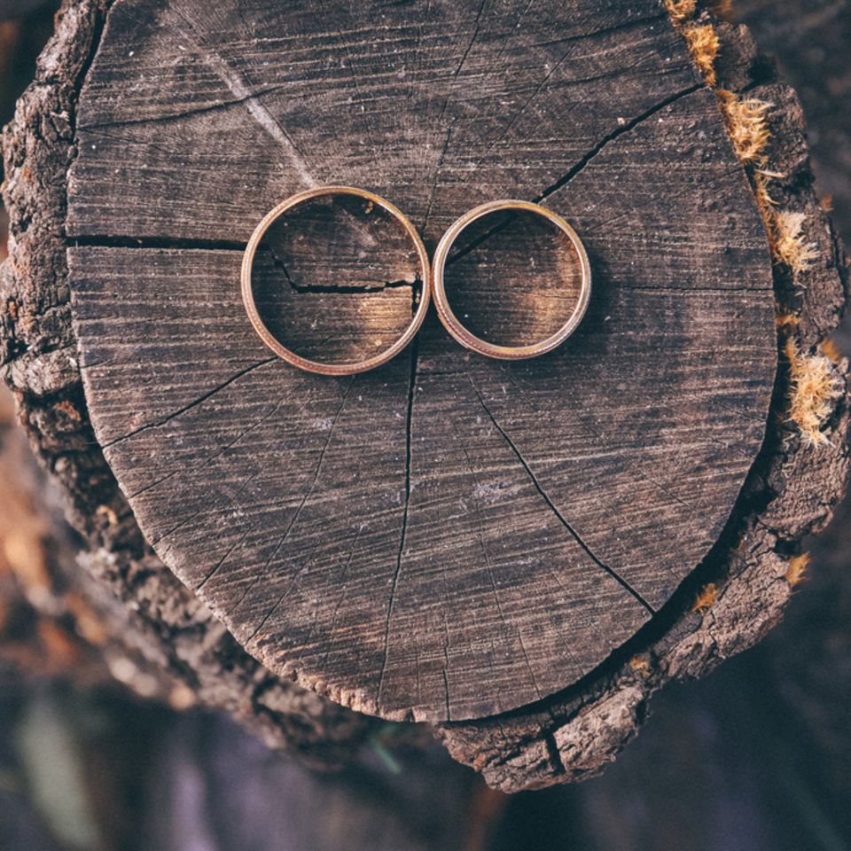 Silberhochzeit – Ideen, Glückwünsche und Bräuche: Zwei Eheringe auf einem Baumstumpf